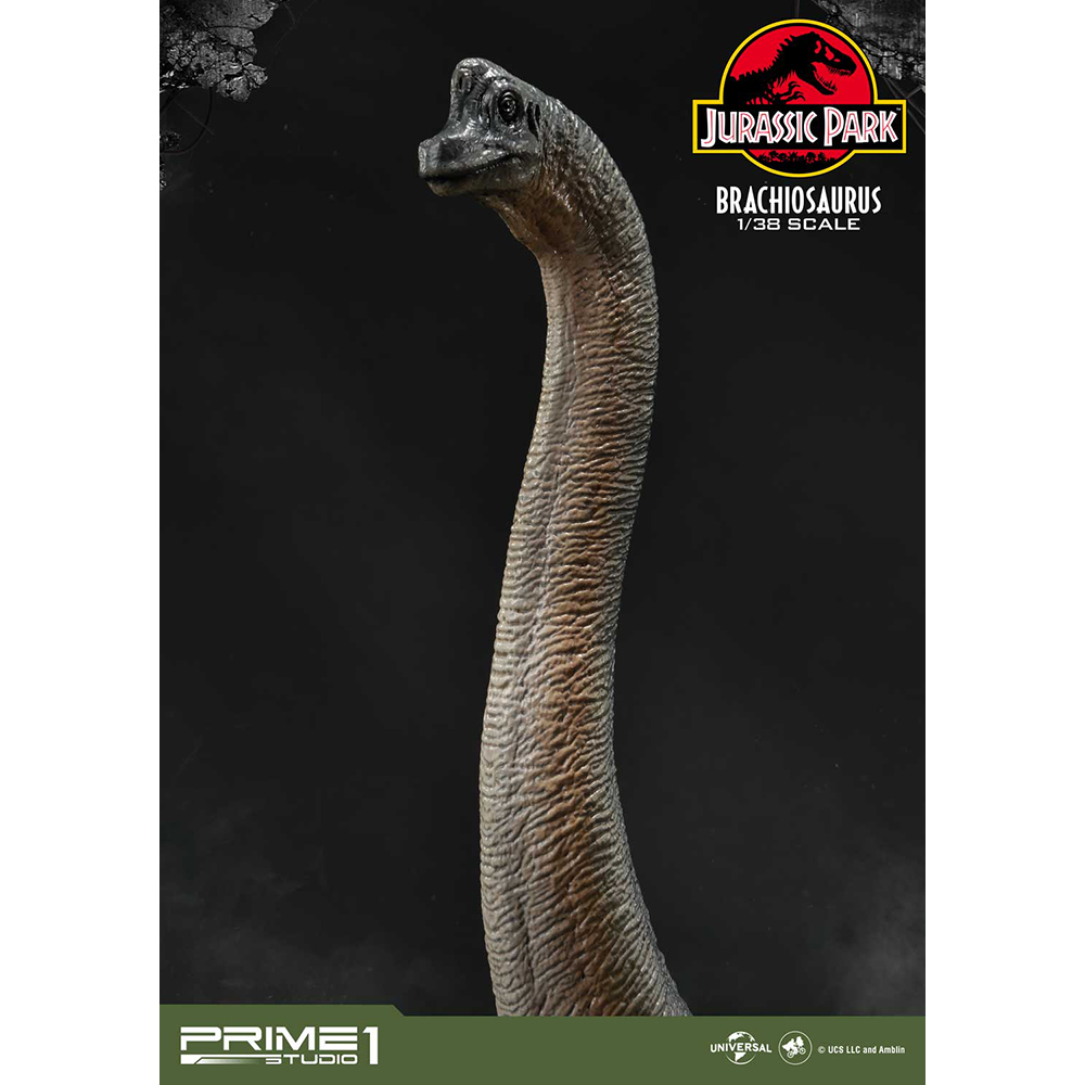 PCFJP-03_06.jpg?width=1000