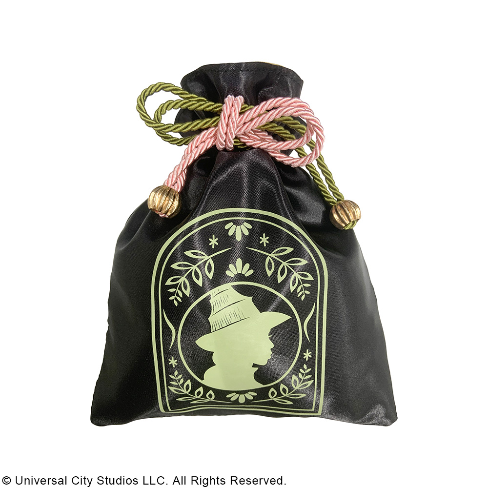 レア物　劇団イヌカレー　ウィキッド　クリアファイル 711dZuAPrBL._UF350,350_QL50_.jpg